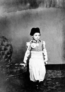 Napoléon, kejserlig prins